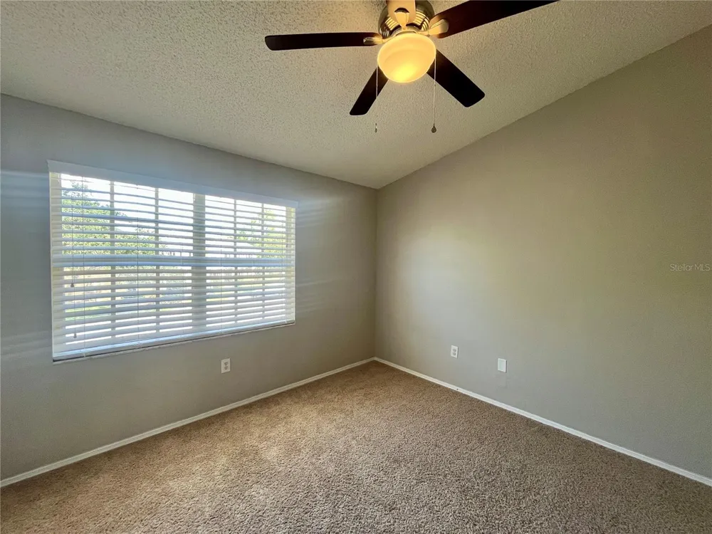 12356 BERKELEY SQUARE DRIVE Tampa, FL 33626
