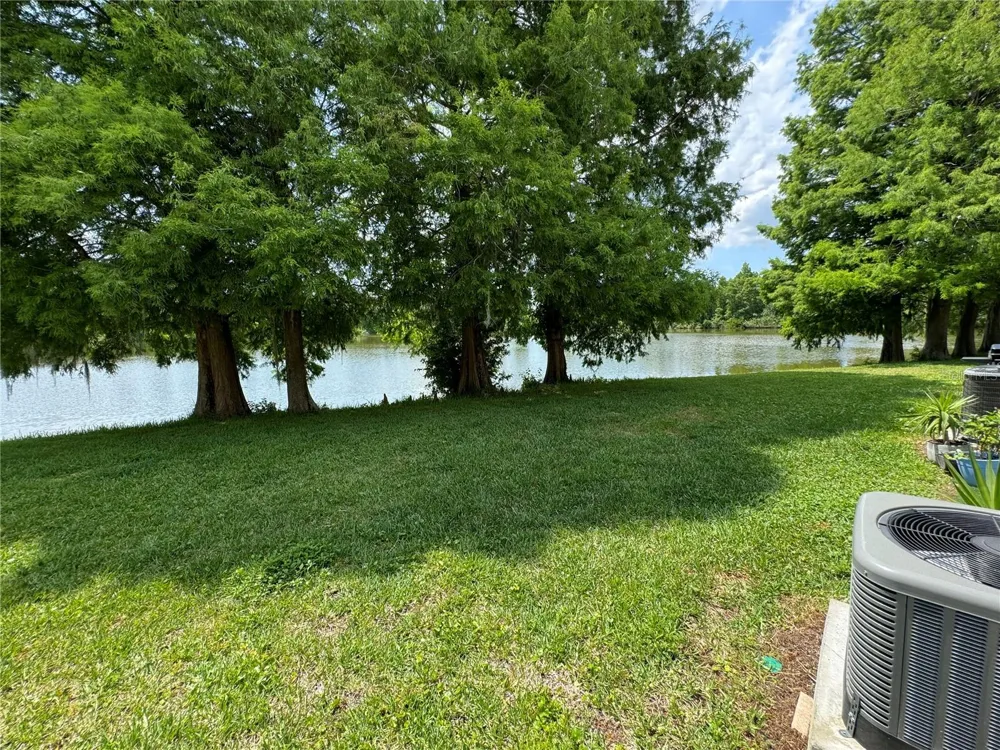 12356 BERKELEY SQUARE DRIVE Tampa, FL 33626