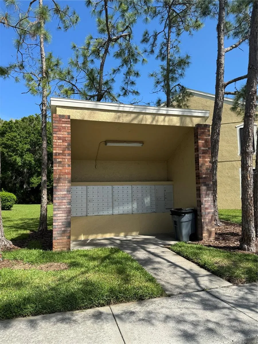 12356 BERKELEY SQUARE DRIVE Tampa, FL 33626
