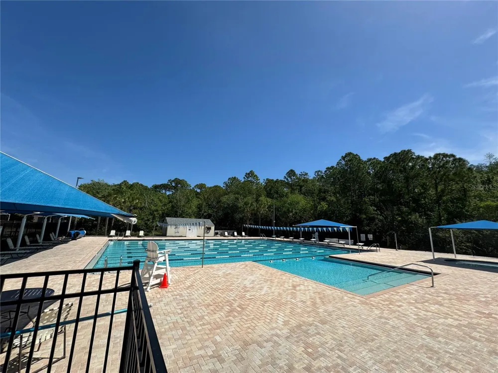 12356 BERKELEY SQUARE DRIVE Tampa, FL 33626