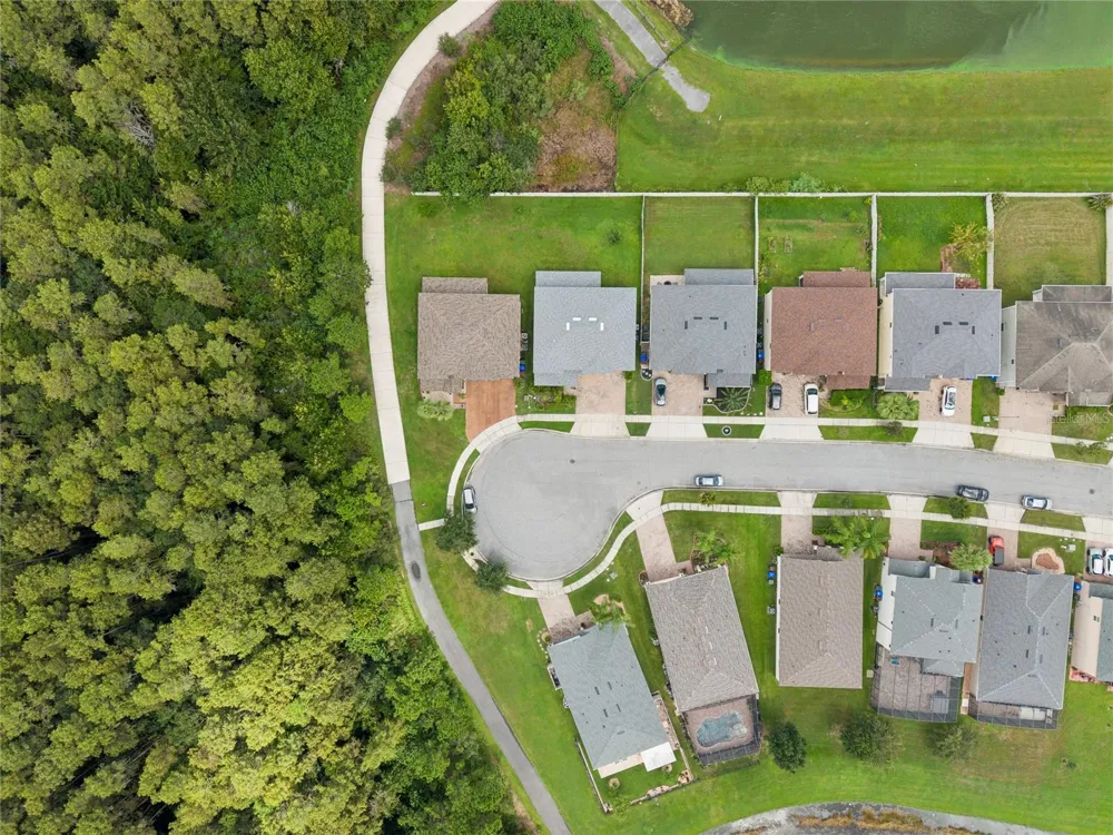 3899 MT VERNON WAY Kissimmee, FL 34741