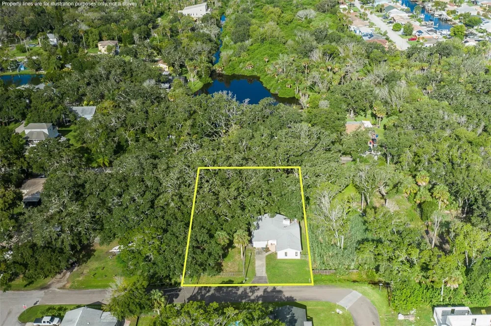4715 NEEDLE PALM DRIVE New Port Richey, FL 34652