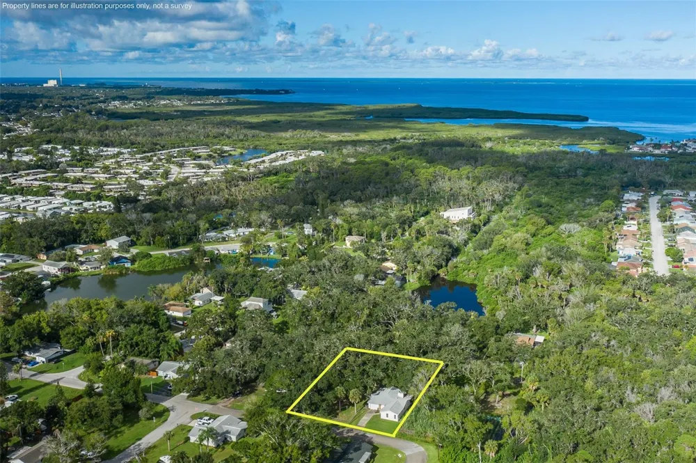 4715 NEEDLE PALM DRIVE New Port Richey, FL 34652