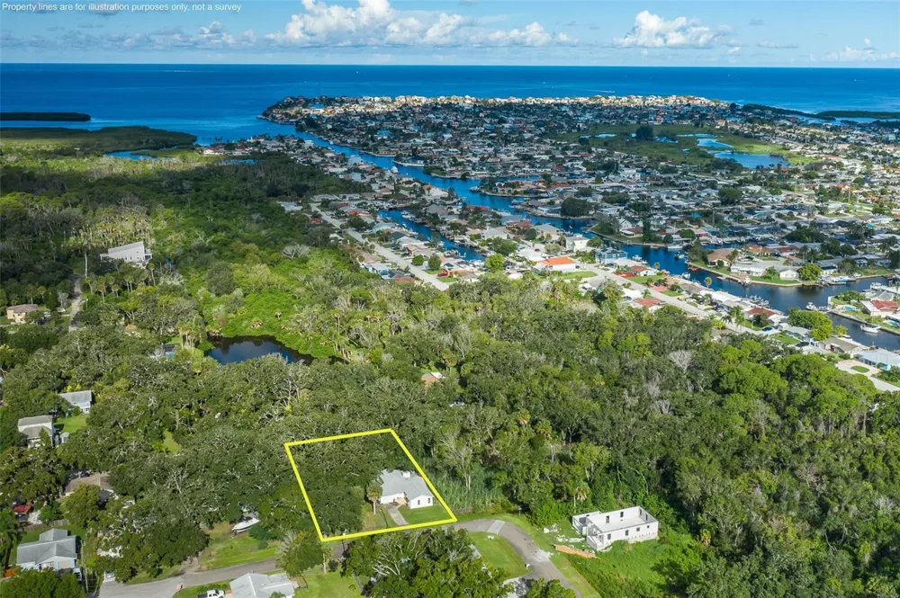 4715 NEEDLE PALM DRIVE New Port Richey, FL 34652