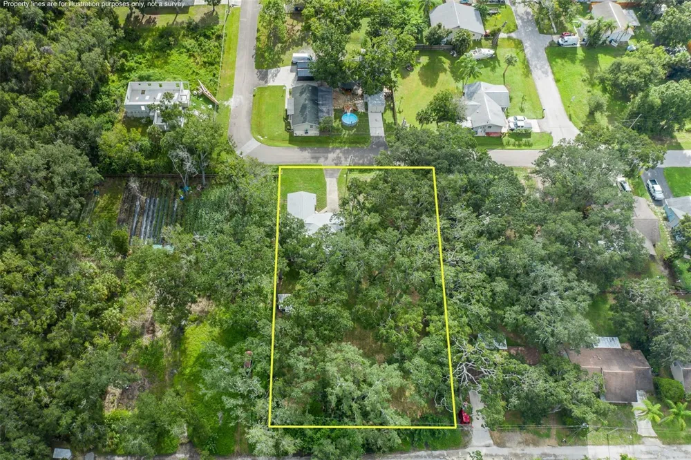 4715 NEEDLE PALM DRIVE New Port Richey, FL 34652