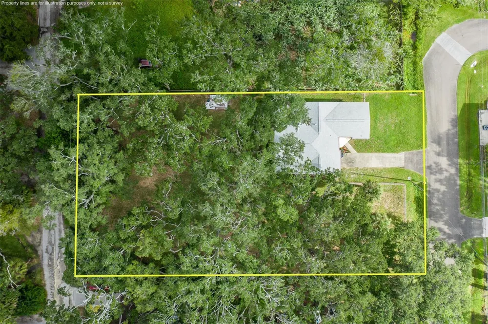 4715 NEEDLE PALM DRIVE New Port Richey, FL 34652