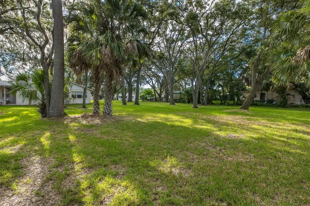 4715 NEEDLE PALM DRIVE New Port Richey, FL 34652