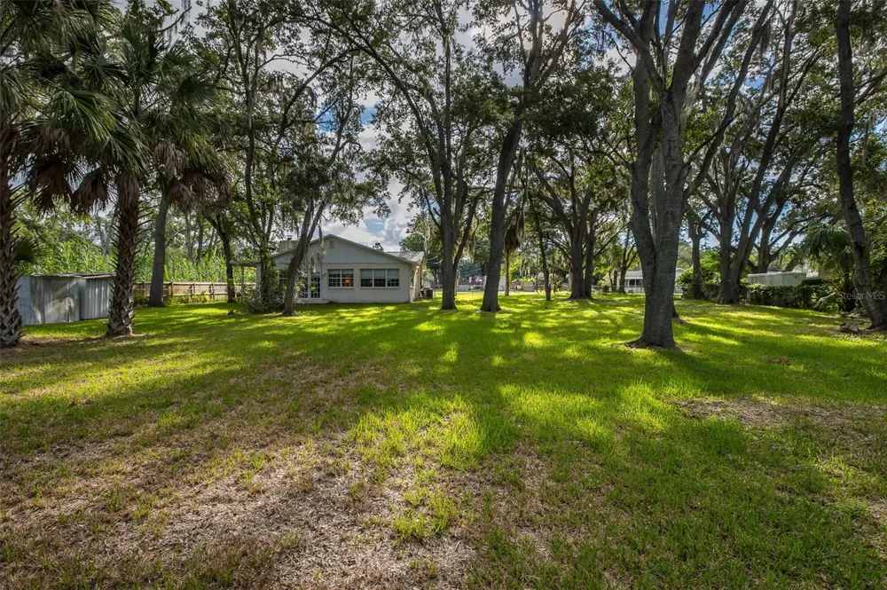 4715 NEEDLE PALM DRIVE New Port Richey, FL 34652