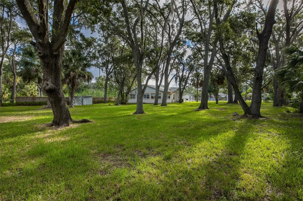4715 NEEDLE PALM DRIVE New Port Richey, FL 34652