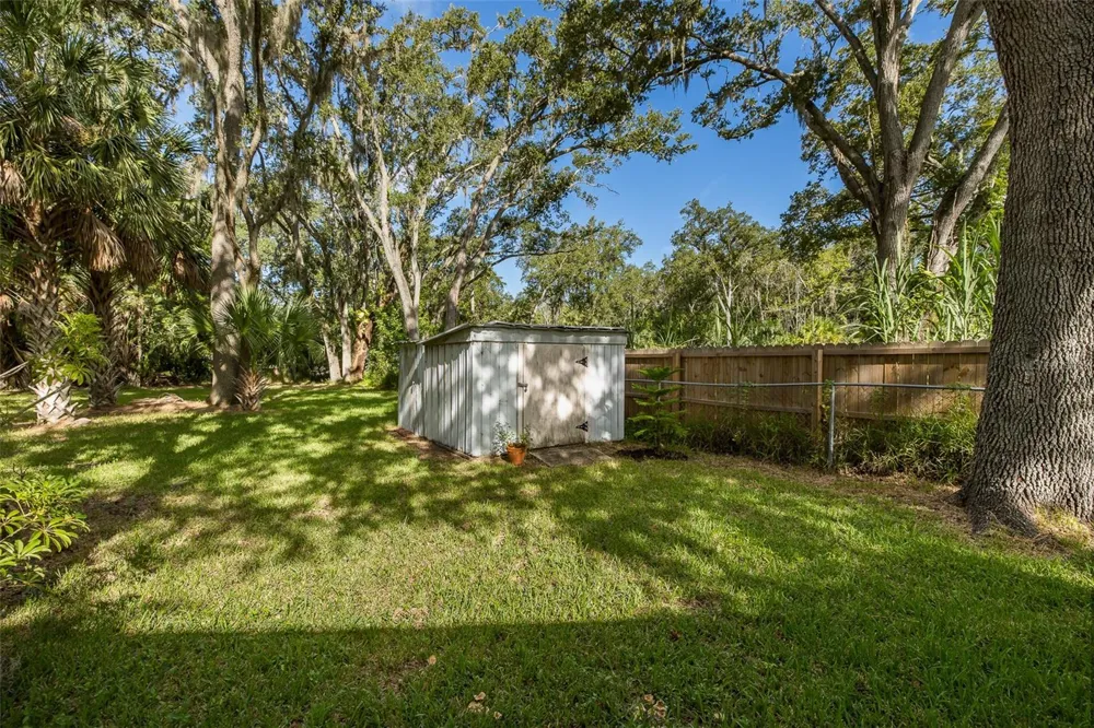 4715 NEEDLE PALM DRIVE New Port Richey, FL 34652