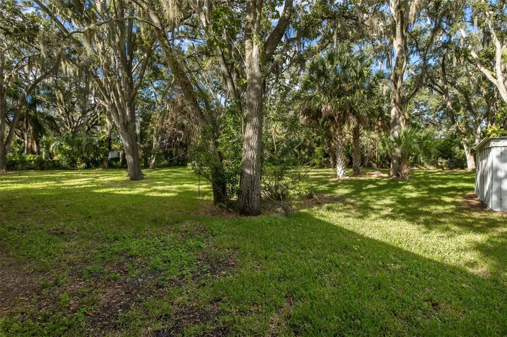 4715 NEEDLE PALM DRIVE New Port Richey, FL 34652
