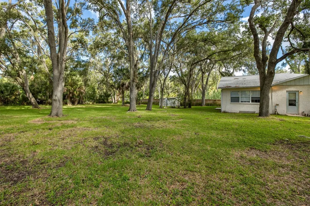 4715 NEEDLE PALM DRIVE New Port Richey, FL 34652