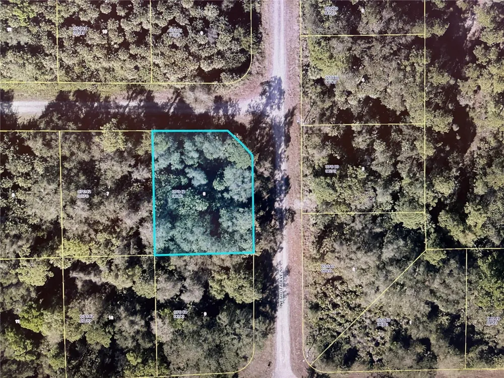 1224 ROSITA STREET E Lehigh Acres, FL 33974