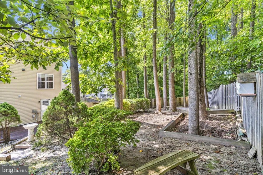 8516 INNISFREE DRIVE Springfield, VA 22153