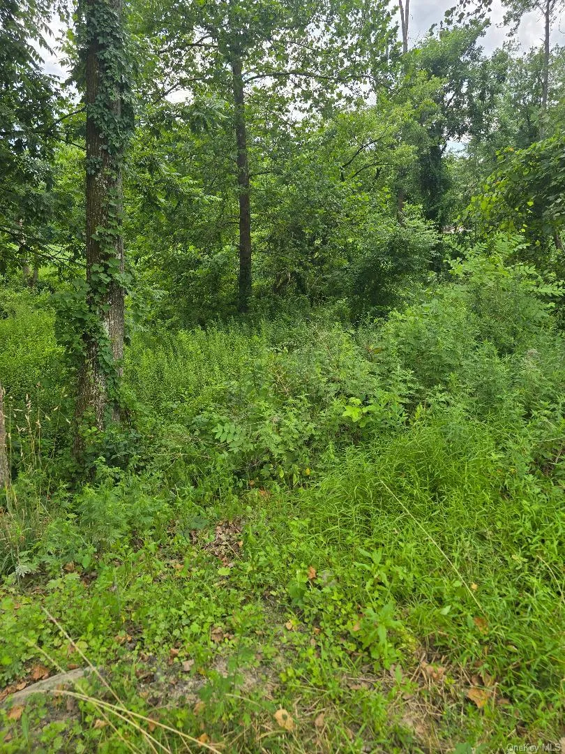 6437 Route 209 Kerhonkson, NY 12446