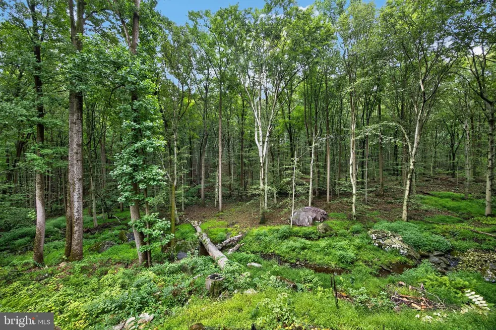 602 FEATHERBED LANE Garnet Valley, PA 19060