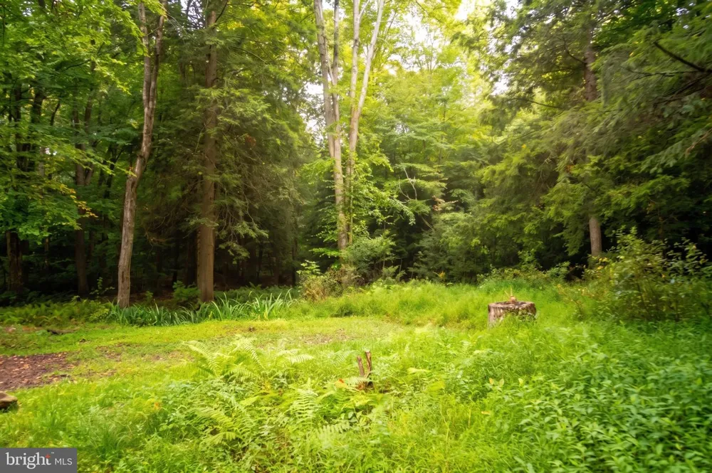 322 HEMLOCK ROAD Grantsville, MD 21536