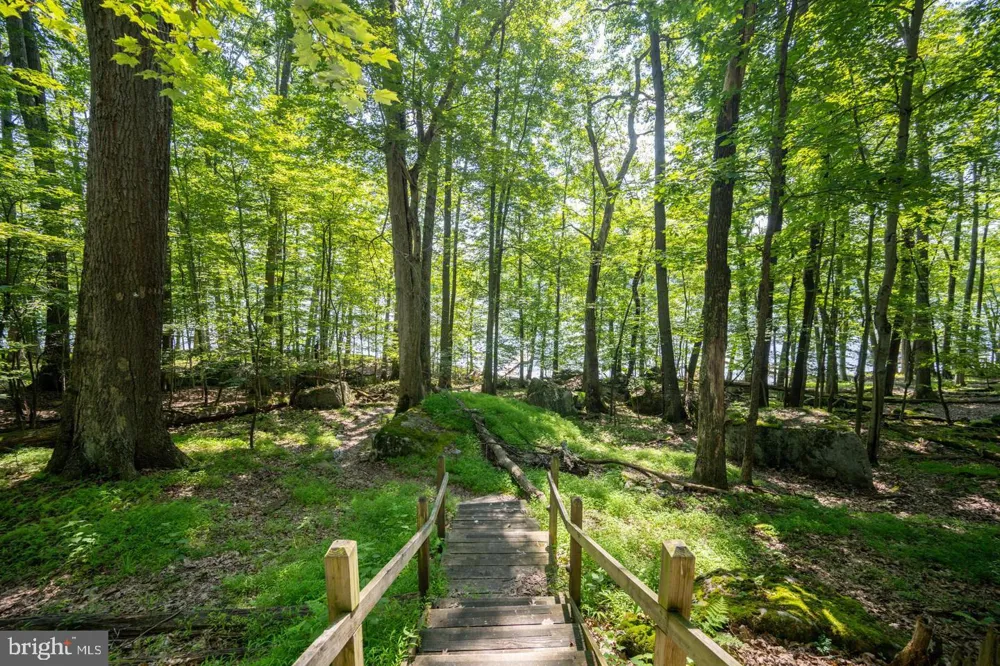 2849 SHINGLE CAMP ROAD Oakland, MD 21550