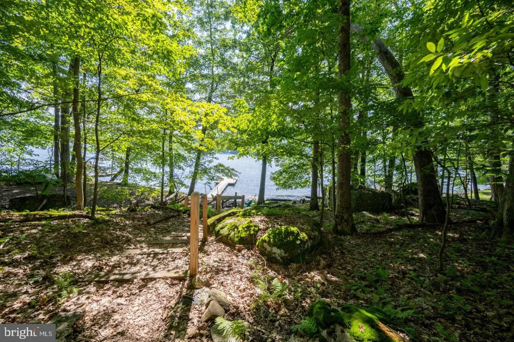 2849 SHINGLE CAMP ROAD Oakland, MD 21550