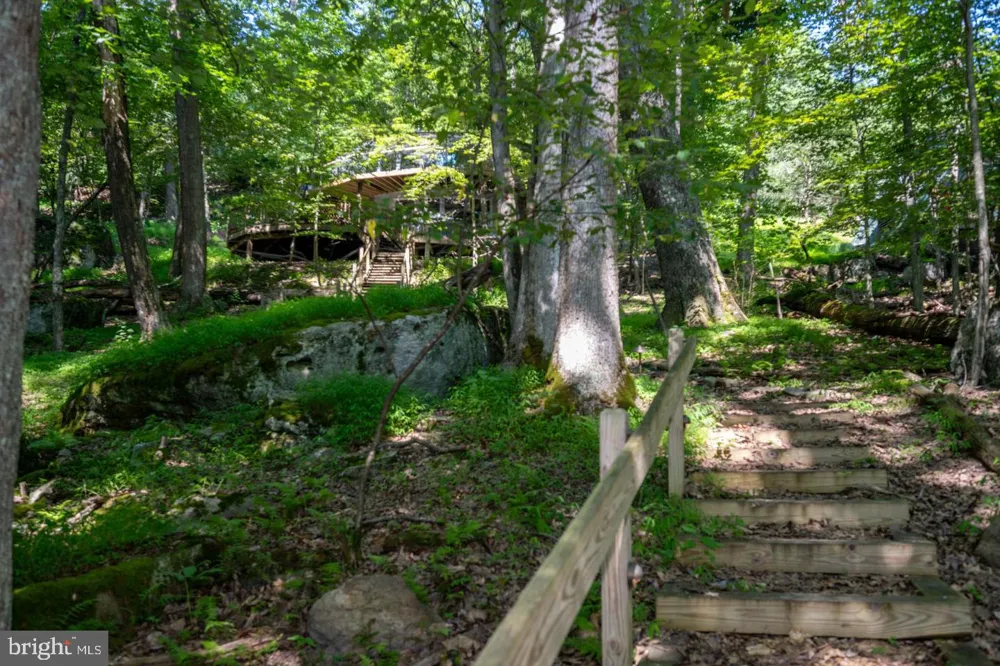 2849 SHINGLE CAMP ROAD Oakland, MD 21550