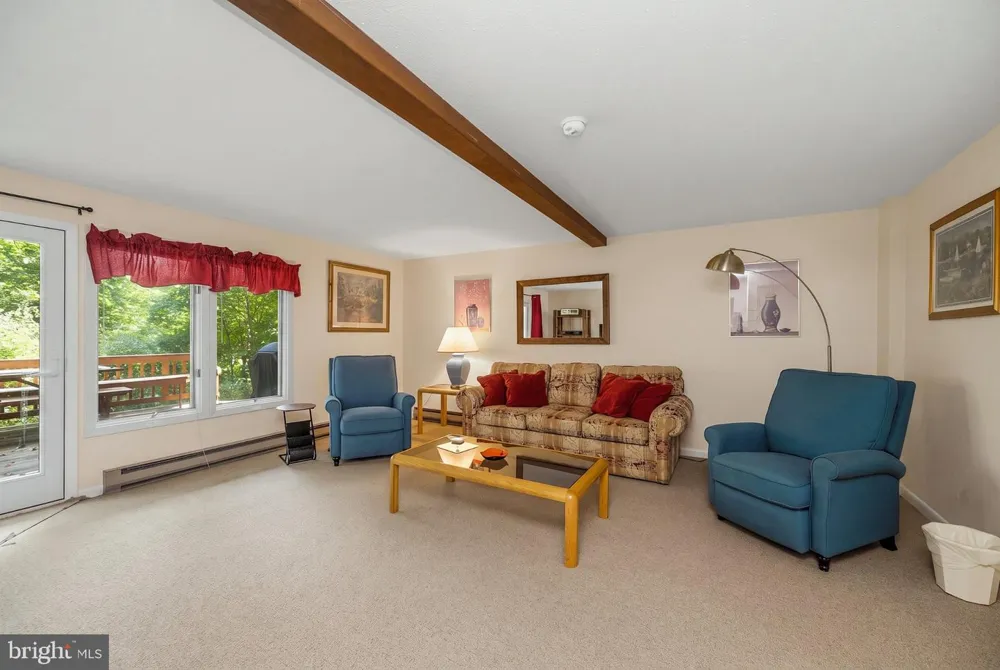 19 SLOPESIDE TERRACE #10E Mchenry, MD 21541