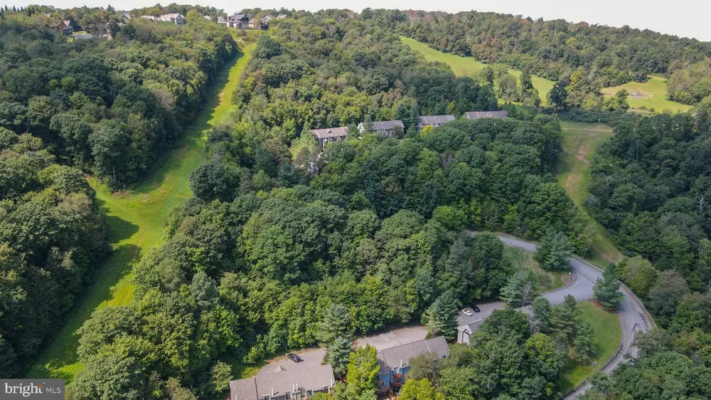 19 SLOPESIDE TERRACE #10E Mchenry, MD 21541
