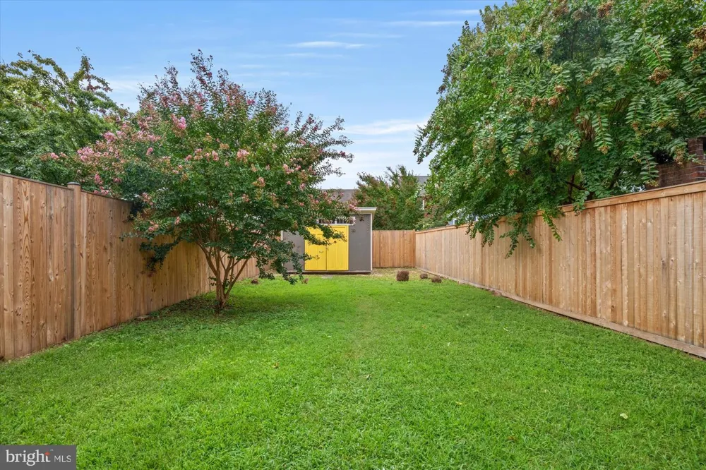 317 E CUSTIS AVENUE #A Alexandria, VA 22301