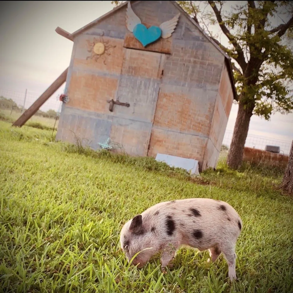 1792 Stockold Road Sealy, TX 77474
