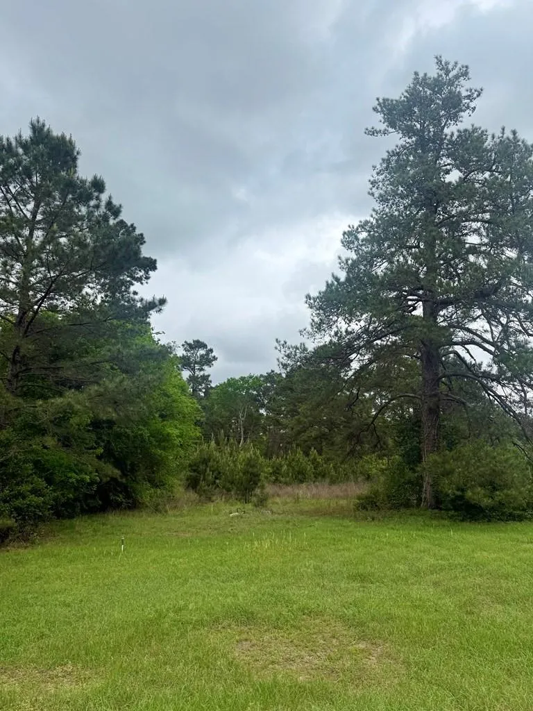 7636 Fm 2799 Jasper, TX 75951