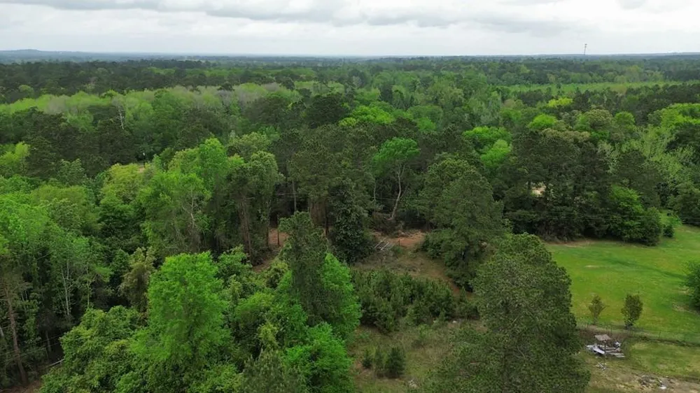 7636 Fm 2799 Jasper, TX 75951