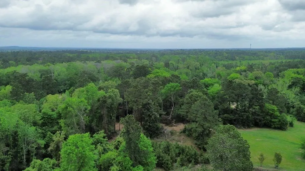 7636 Fm 2799 Jasper, TX 75951