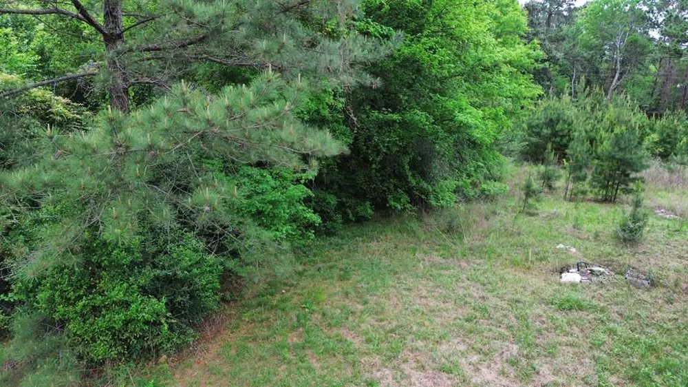 7636 Fm 2799 Jasper, TX 75951