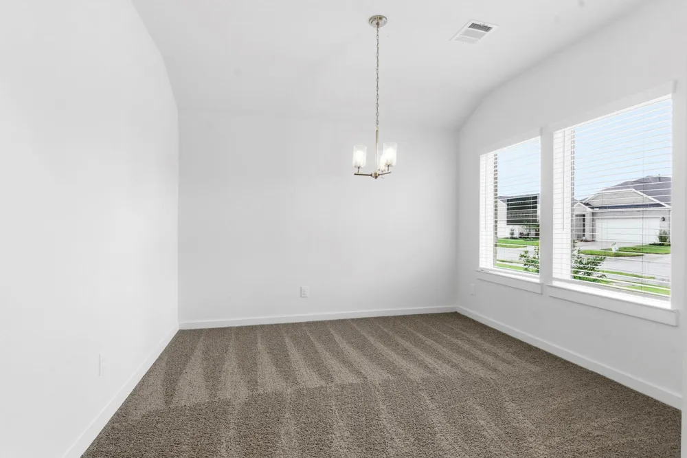 13318 Hayden Peak Drive Iowa Colony, TX 77583