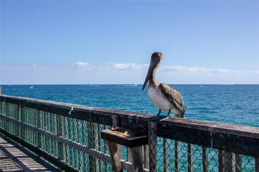 1360 S Ocean Boulevard #Apt 603 Pompano Beach, FL 33062