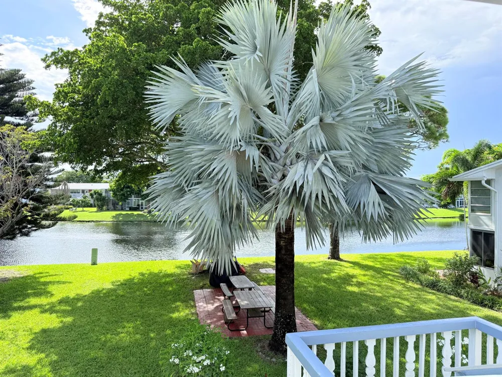 543 DURHAM S #543 Deerfield Beach, FL 33442