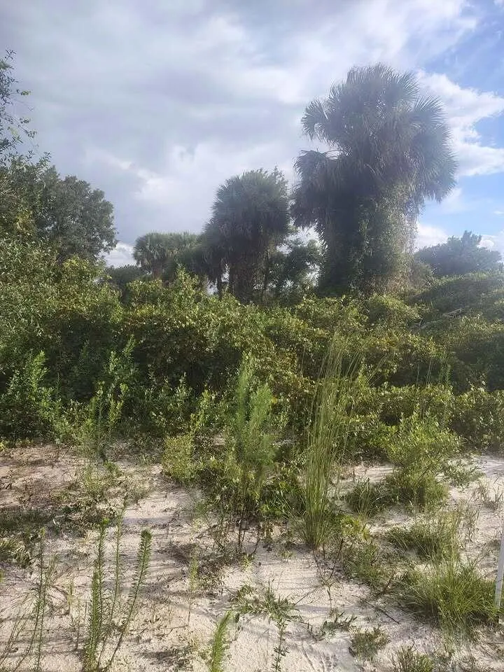 16791 NW 314th Street Okeechobee, FL 34972