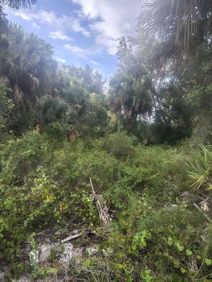 16791 NW 314th Street Okeechobee, FL 34972