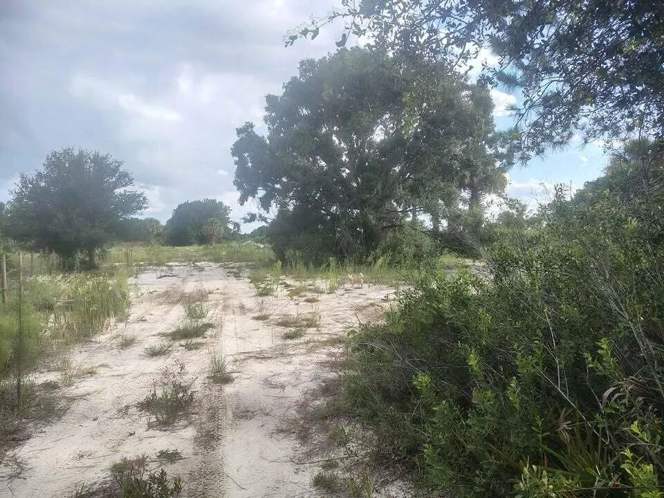 16791 NW 314th Street Okeechobee, FL 34972