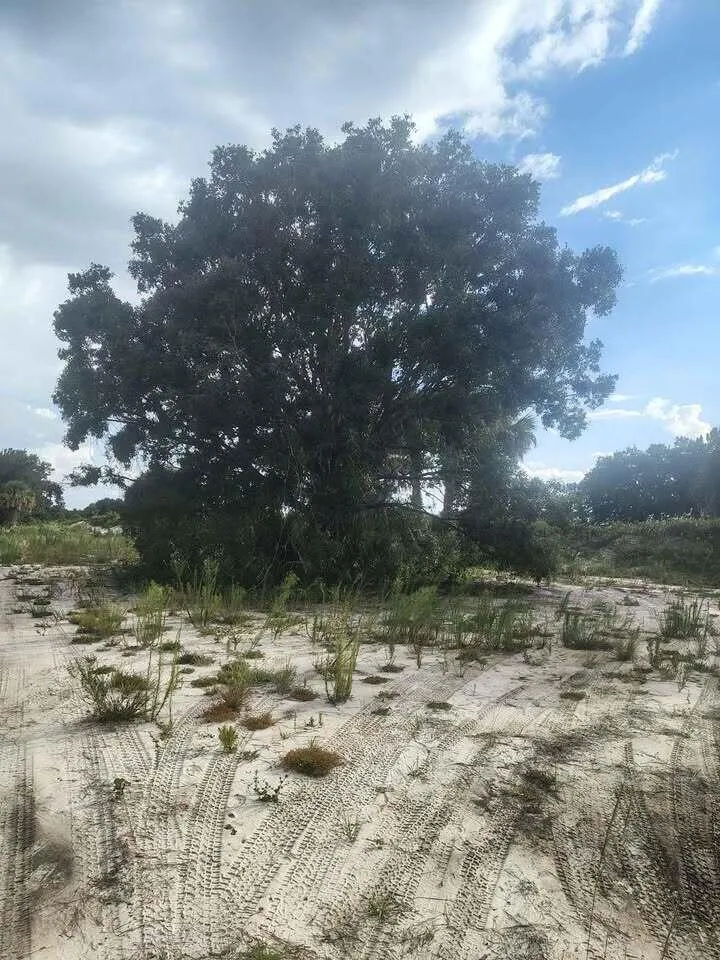 16791 NW 314th Street Okeechobee, FL 34972