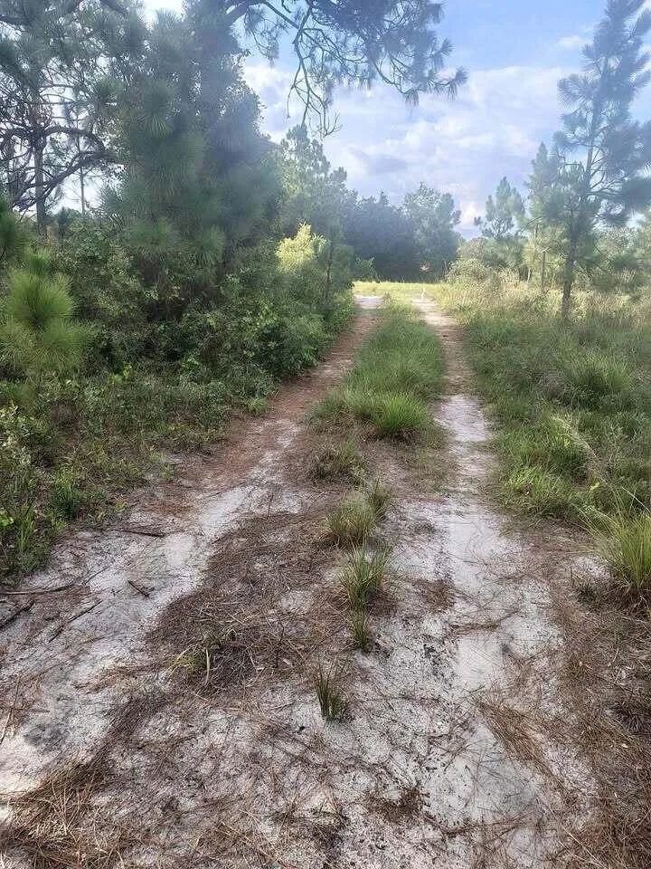 16791 NW 314th Street Okeechobee, FL 34972