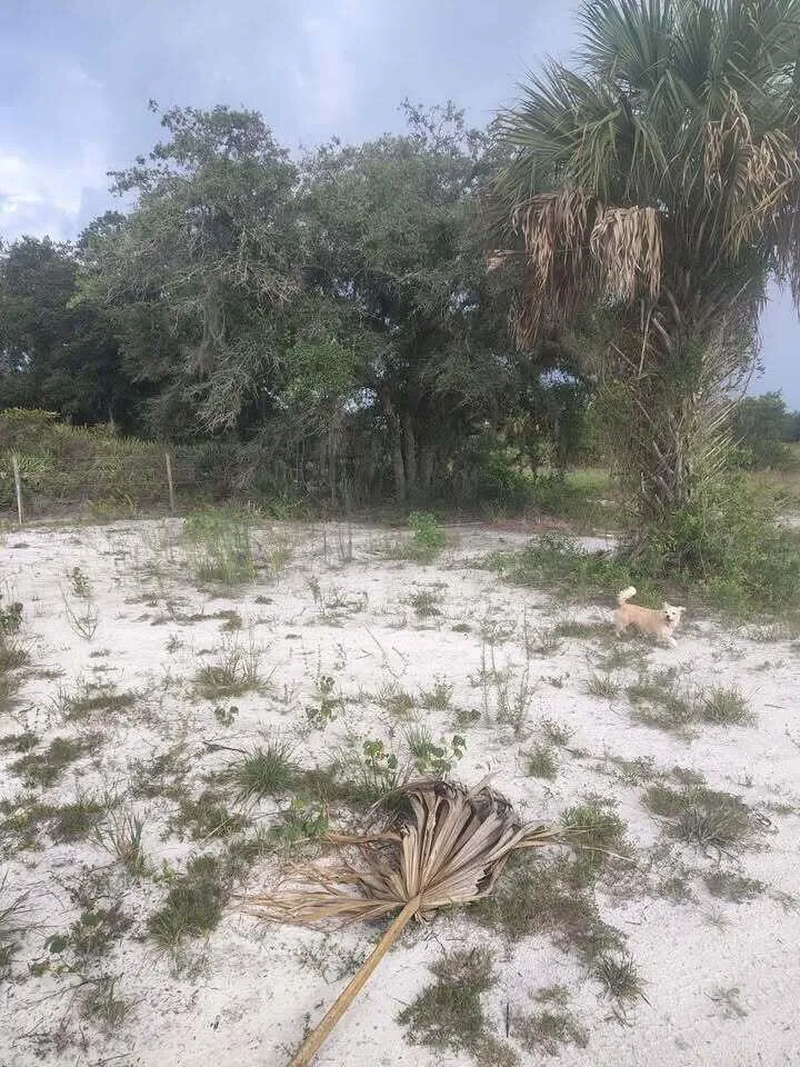 16791 NW 314th Street Okeechobee, FL 34972