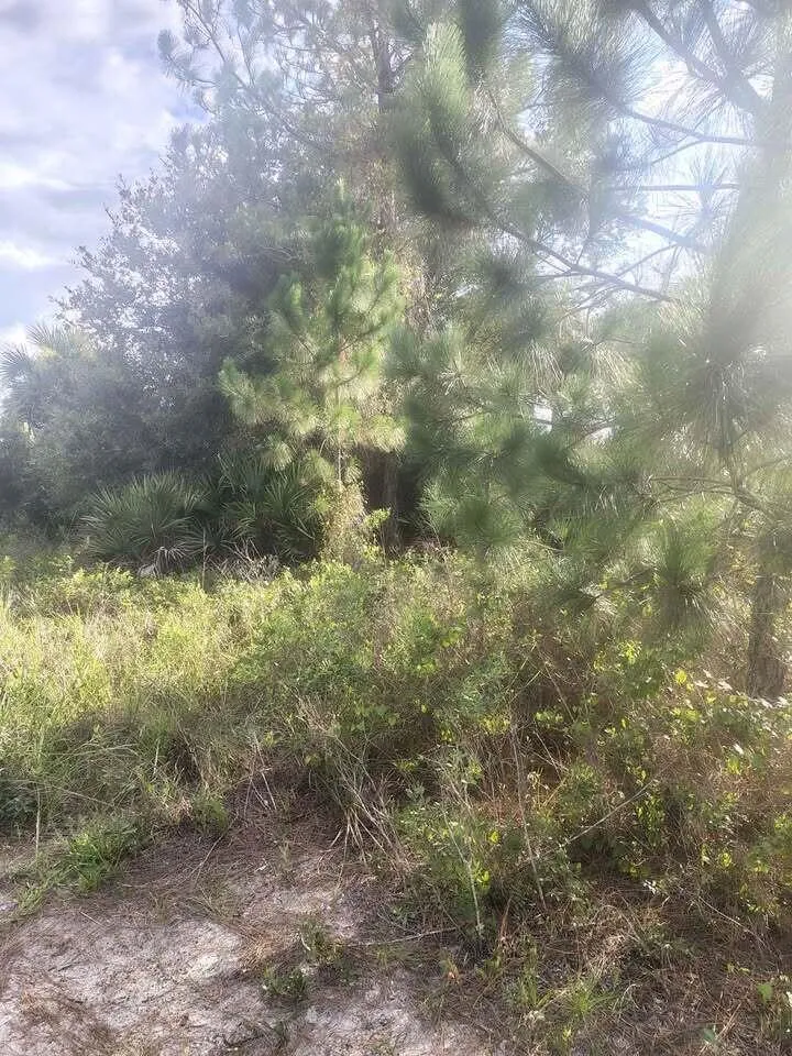 16791 NW 314th Street Okeechobee, FL 34972