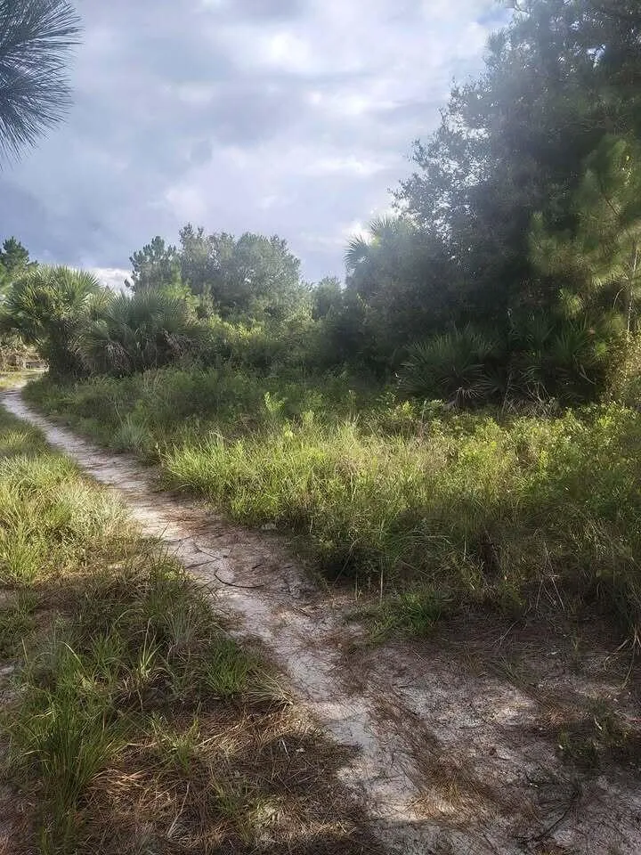 16791 NW 314th Street Okeechobee, FL 34972