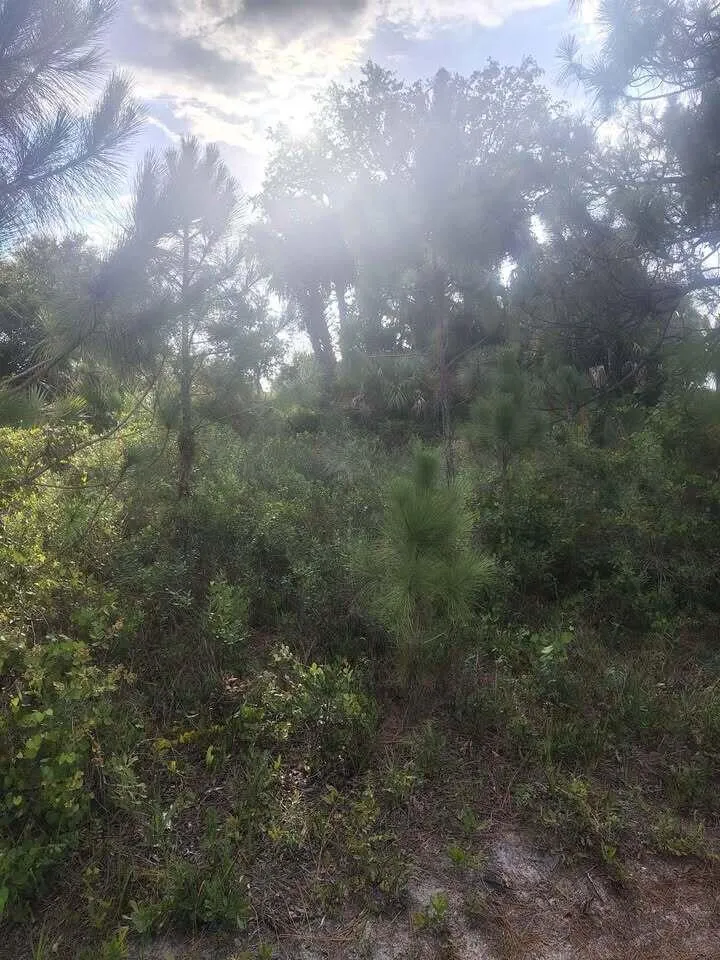 16791 NW 314th Street Okeechobee, FL 34972
