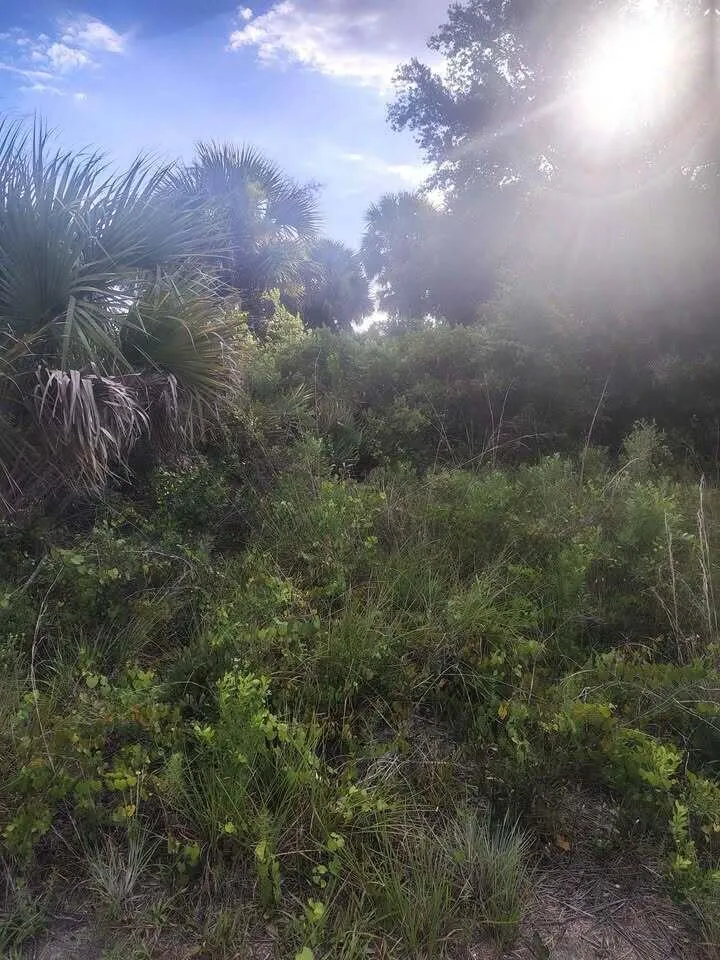 16791 NW 314th Street Okeechobee, FL 34972