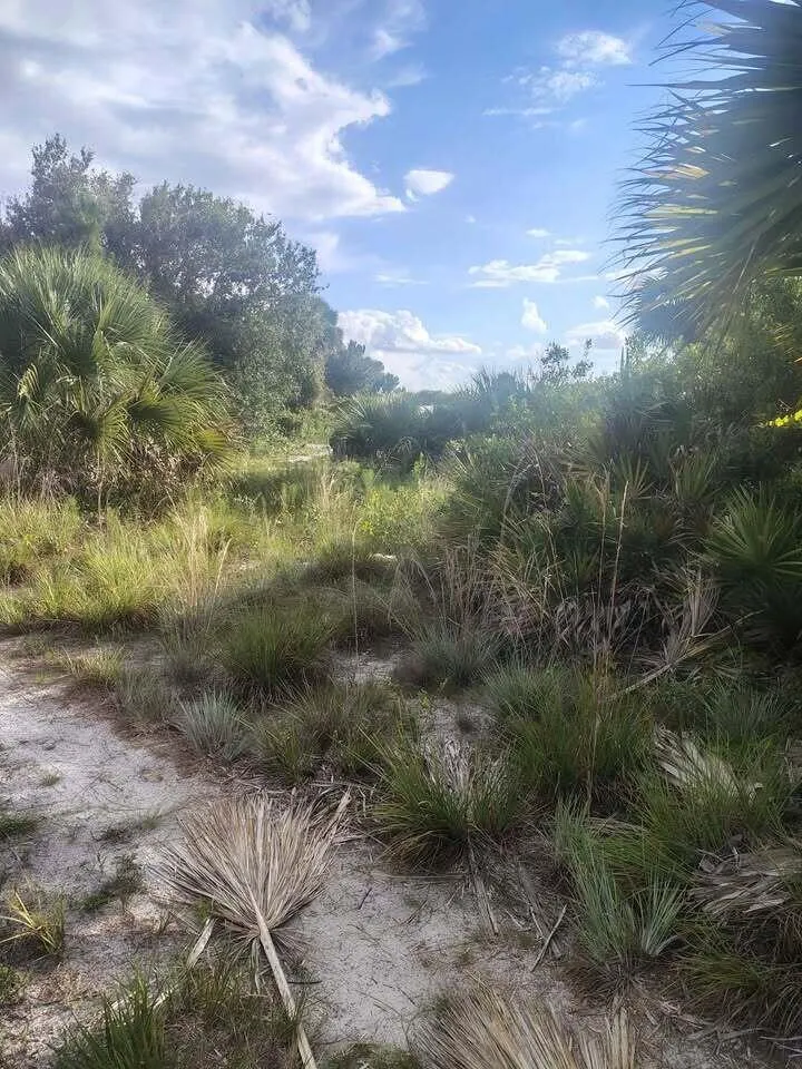 16791 NW 314th Street Okeechobee, FL 34972