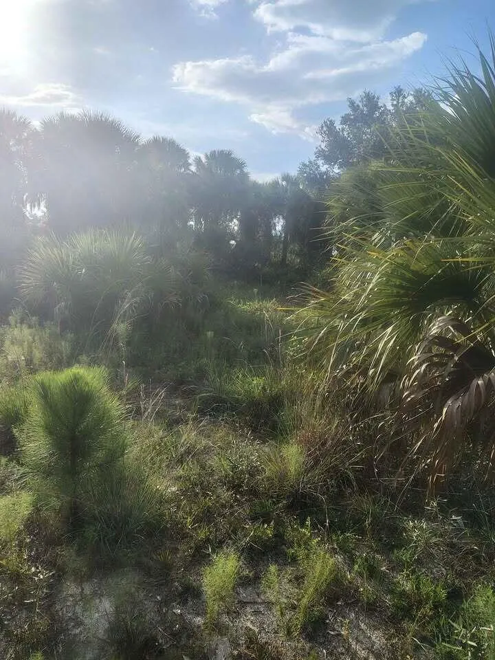 16791 NW 314th Street Okeechobee, FL 34972