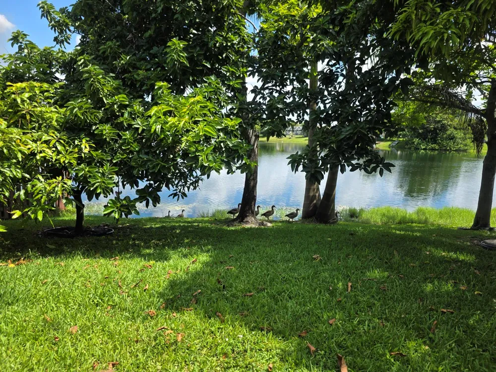 9753 NW 45TH STREET Sunrise, FL 33351