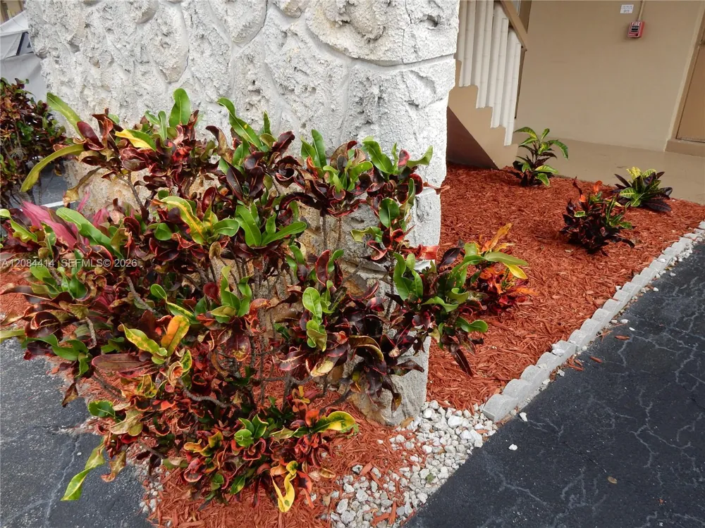 5051 W OAKLAND PARK BLVD #302 Lauderdale Lakes, FL 33313