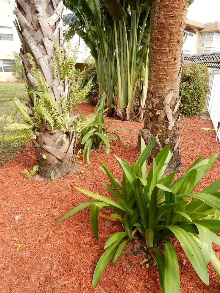 5051 W OAKLAND PARK BLVD #302 Lauderdale Lakes, FL 33313